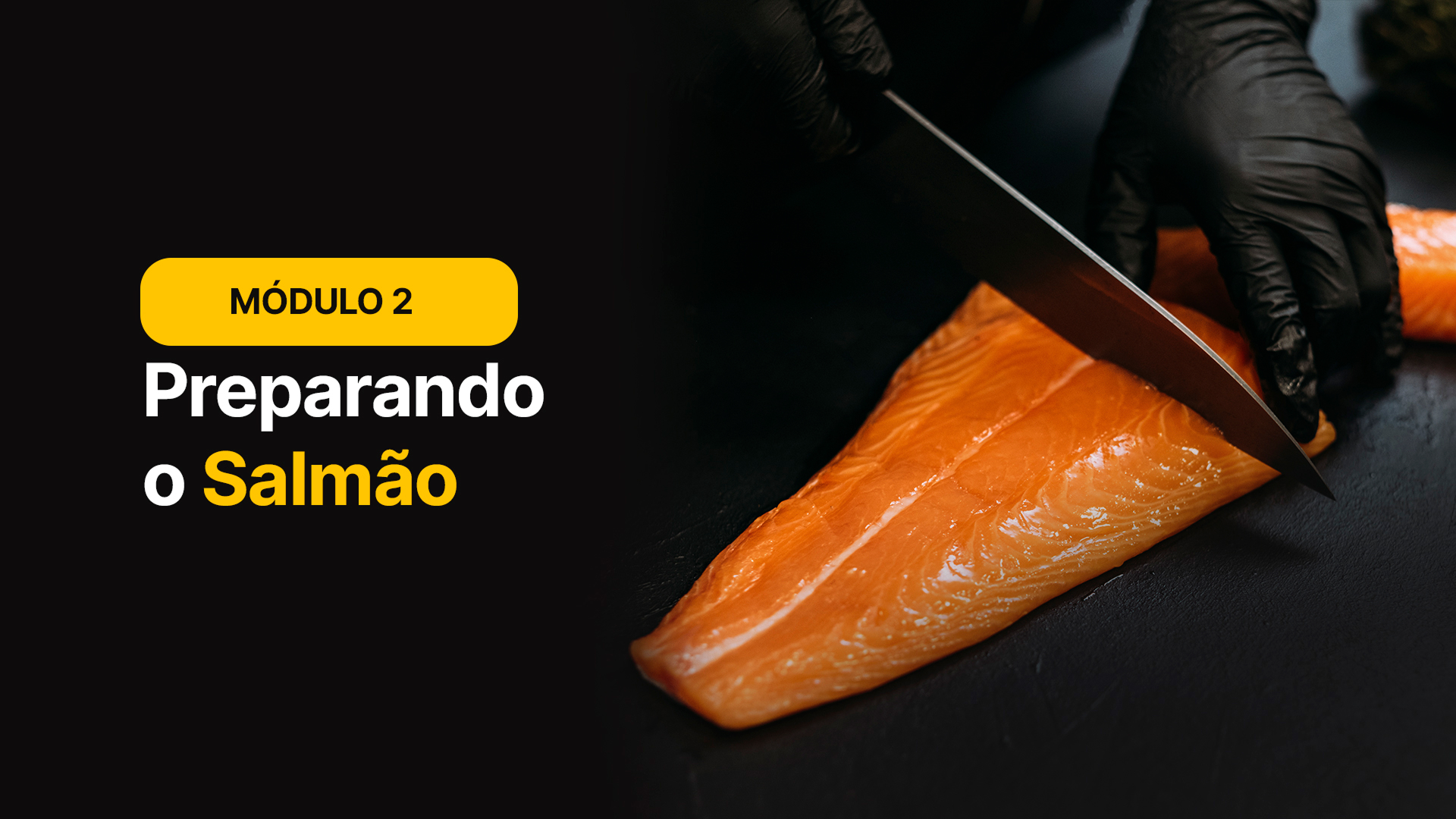Módulo 2